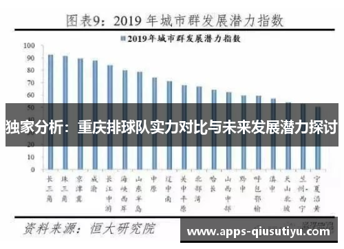 独家分析：重庆排球队实力对比与未来发展潜力探讨