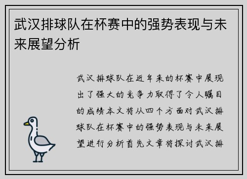 武汉排球队在杯赛中的强势表现与未来展望分析