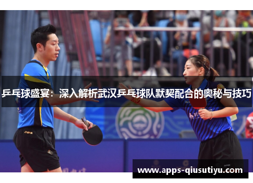 乒乓球盛宴：深入解析武汉乒乓球队默契配合的奥秘与技巧