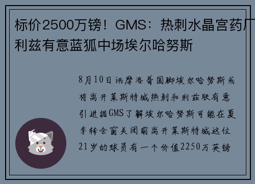 标价2500万镑！GMS：热刺水晶宫药厂利兹有意蓝狐中场埃尔哈努斯